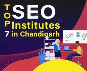 top-7-seo-institutes-chandigarh-TIDM